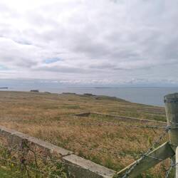 Überreste der Balfour Battery