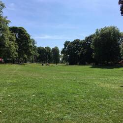 The "Stray", an open parkland where people would exercise between treatments.