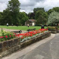 The wedding party, working off the pre-wedding jitters