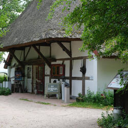 Das Dornenhaus: von einer Malerin aus Mülheim/Ruhr 1894 als Atelier gebaut