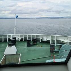 There was a whale there a split second ago - honest!