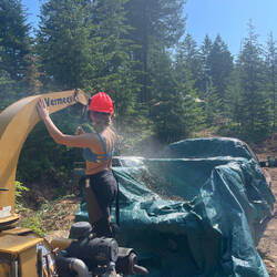 Bäume häckseln auf dem Spirit Lake Grundstück