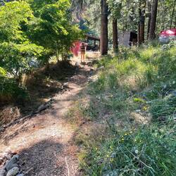 Links sieht der Weg schon gut aus, rechts muss noch Unkraut gejähtet werden.