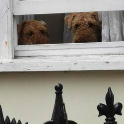 Hundefreundlich sind sie und es gibt viele davon