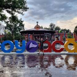 Regenschauer im Stadtviertel Coyoacan ☂️