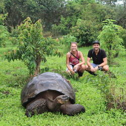 Die Cheibe send riisig