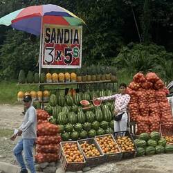 Random Gmües- und Früchtestand