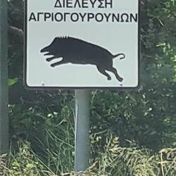 We did not see any leaping wild boar on the road, unfortunately