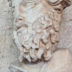 Detail on that beard!