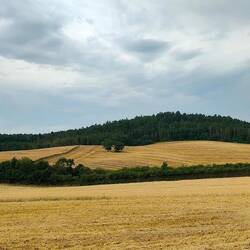 Die Zwei Bäume zwischen Rothenberg und Seßlach