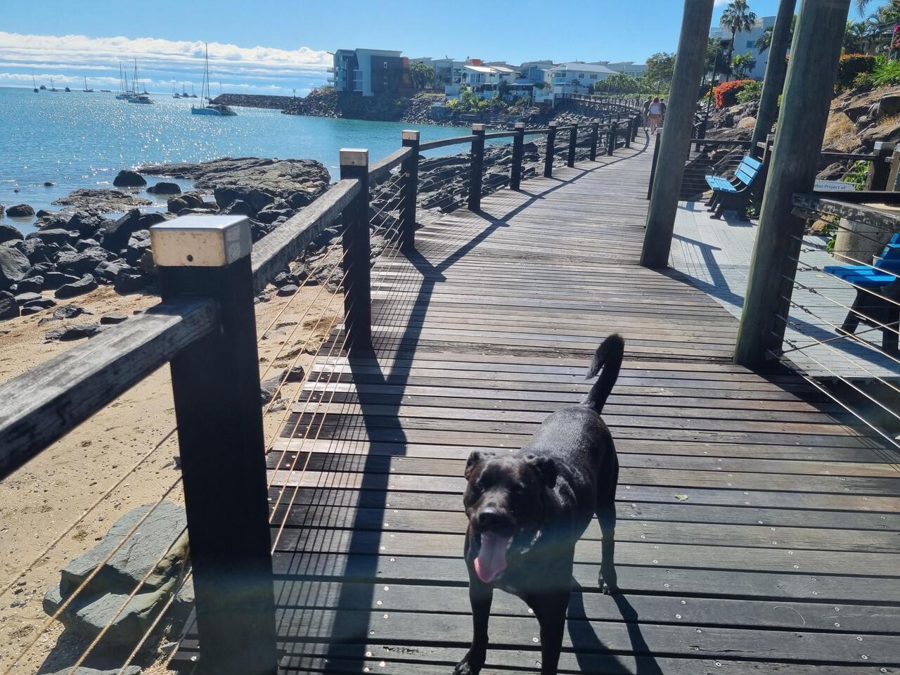 Boardwalk, Airlie Beach