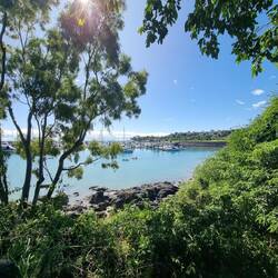 Airlie Beach Marina