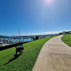 Airlie 10km coastal walk. The tears in my plantar fascia did not thank me for this
