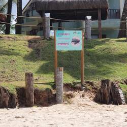 Hier brüten auch Schildkröten