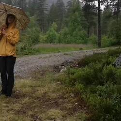Regen Regen regen Regen. Hat gepasst zu den nervigen Autos heute🙄