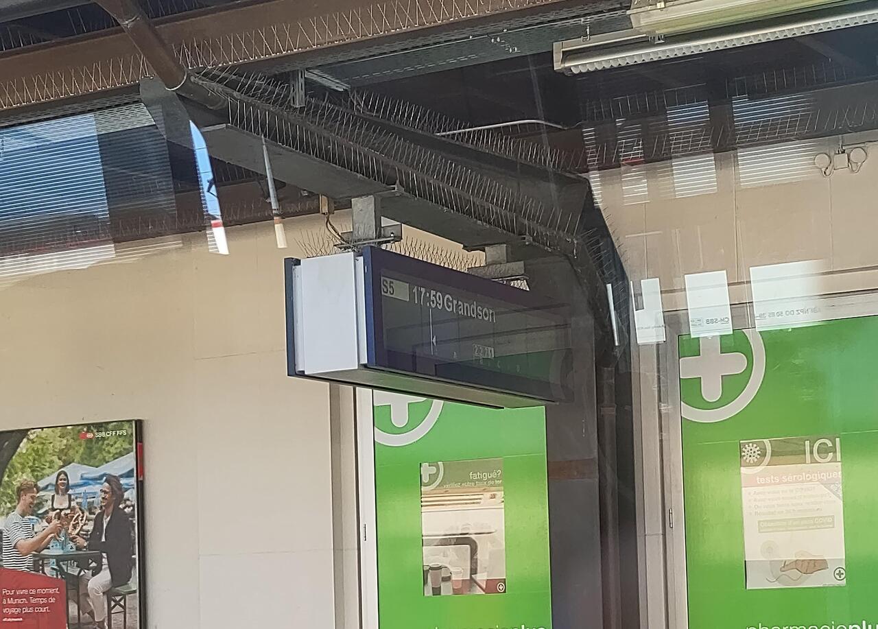Lustige Städte gibt's in der Schweiz