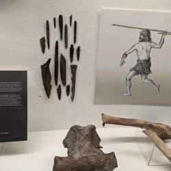 An ancient spear launcher found in Lithuanian excavations