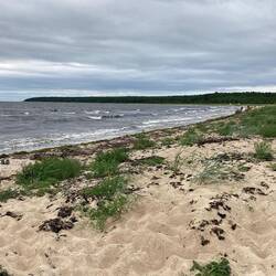 Der hiesige Ostseestrand