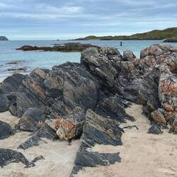 What is that in the water behind that rock?