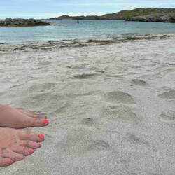 An arty shot taken a couple of feet away