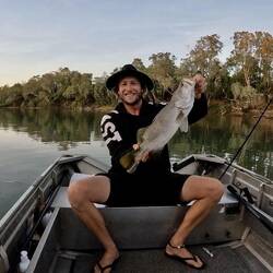 Morning fish