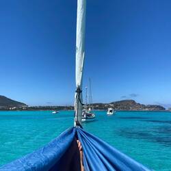View from the hammock