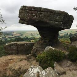 Druid's Writing Desk