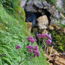 Die zweite Etappe mit eine Abkühlung durch das aufschlagende Wasser. Das war wirklich so herrlich.