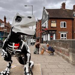 Nayra, everybodies Darling