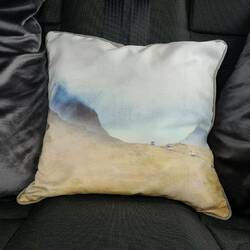 My colour matching cushion - perfect