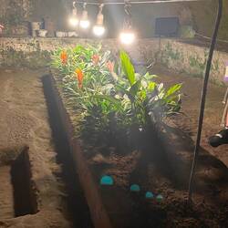 Displaying how the caves were used as greenhouses