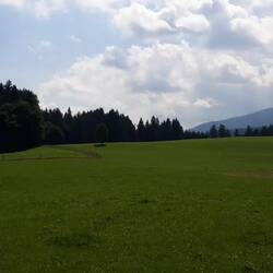 "Da gibt's 'nen Biergarten, Schatz"