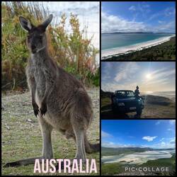 Australia 🇦🇺🦘🐨💍