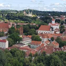Eastern section of old town from the G. Tower. Everywhere you look there are more churches!