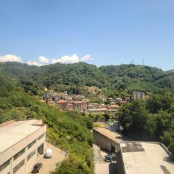 View from the train