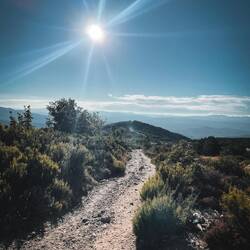 Die letzten 7 Kilometer, und was für schöne!