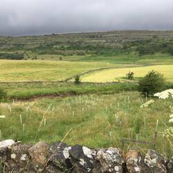 Parts of Ribblesdale countryside