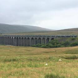 About 15 trains per day pass over the viaduct!