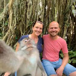 Der Selfie-Affe 🤳