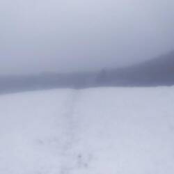 Regen und Nebel