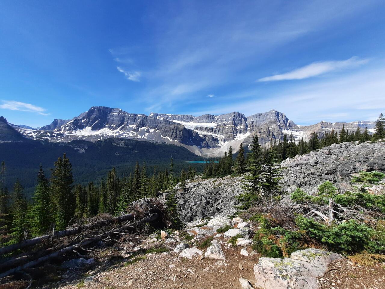 Blick auf den Bow Lake