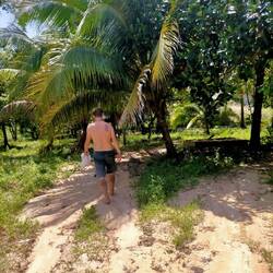 1. Search for a dry coconut on the ground. Shake it to make sure it still has water.