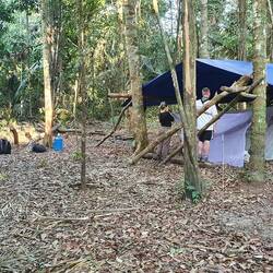 Das Dschungelcamp wird aufgebaut