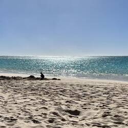 A big masterpiece in the making