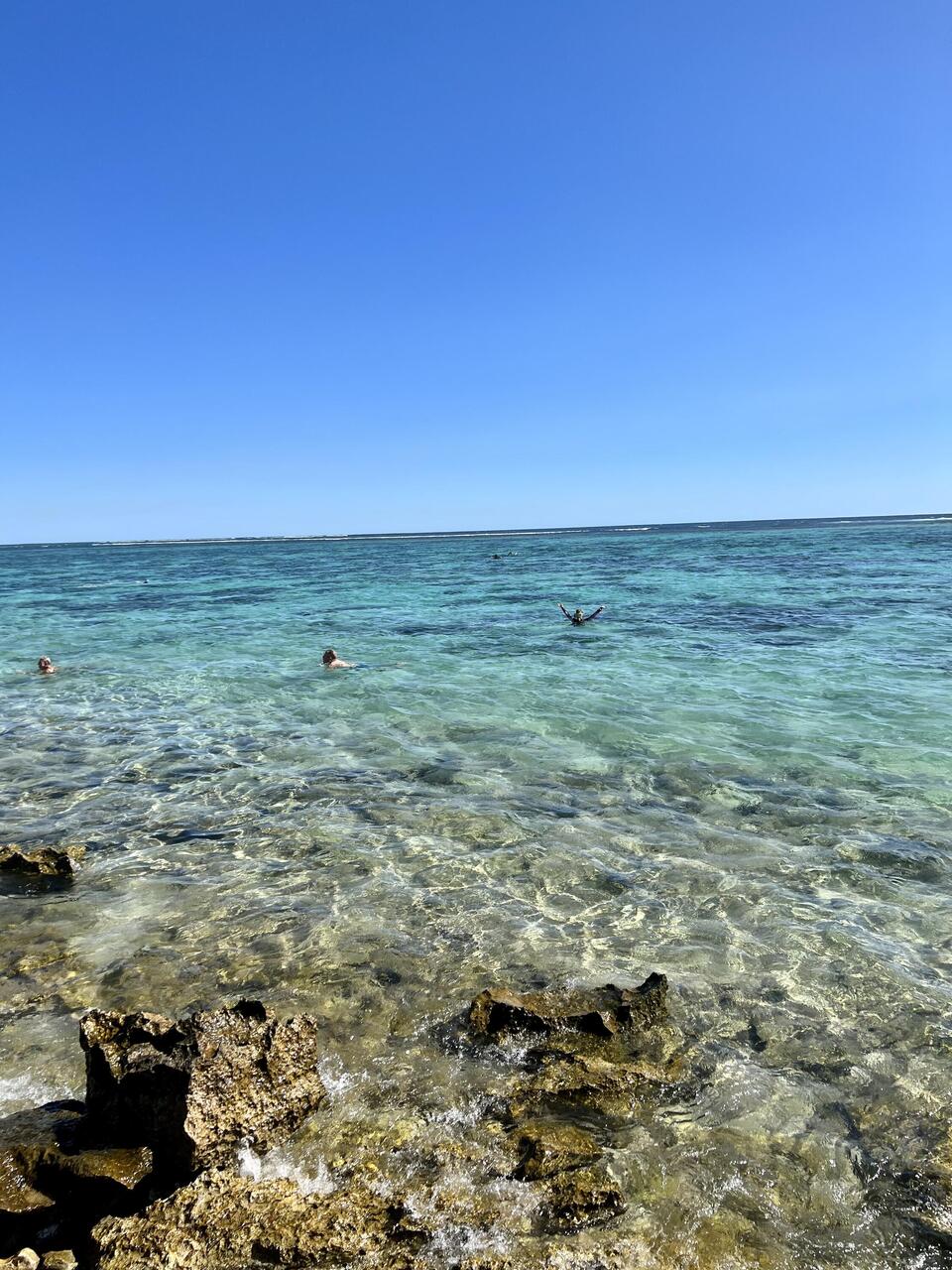 The first snorkel - Oyster Stacks at high tide