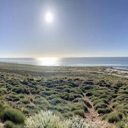 Watching the whales from Vlamingh lighthouse