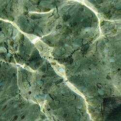 Same snake as the one we saw on our first snorkeling session.. but small!