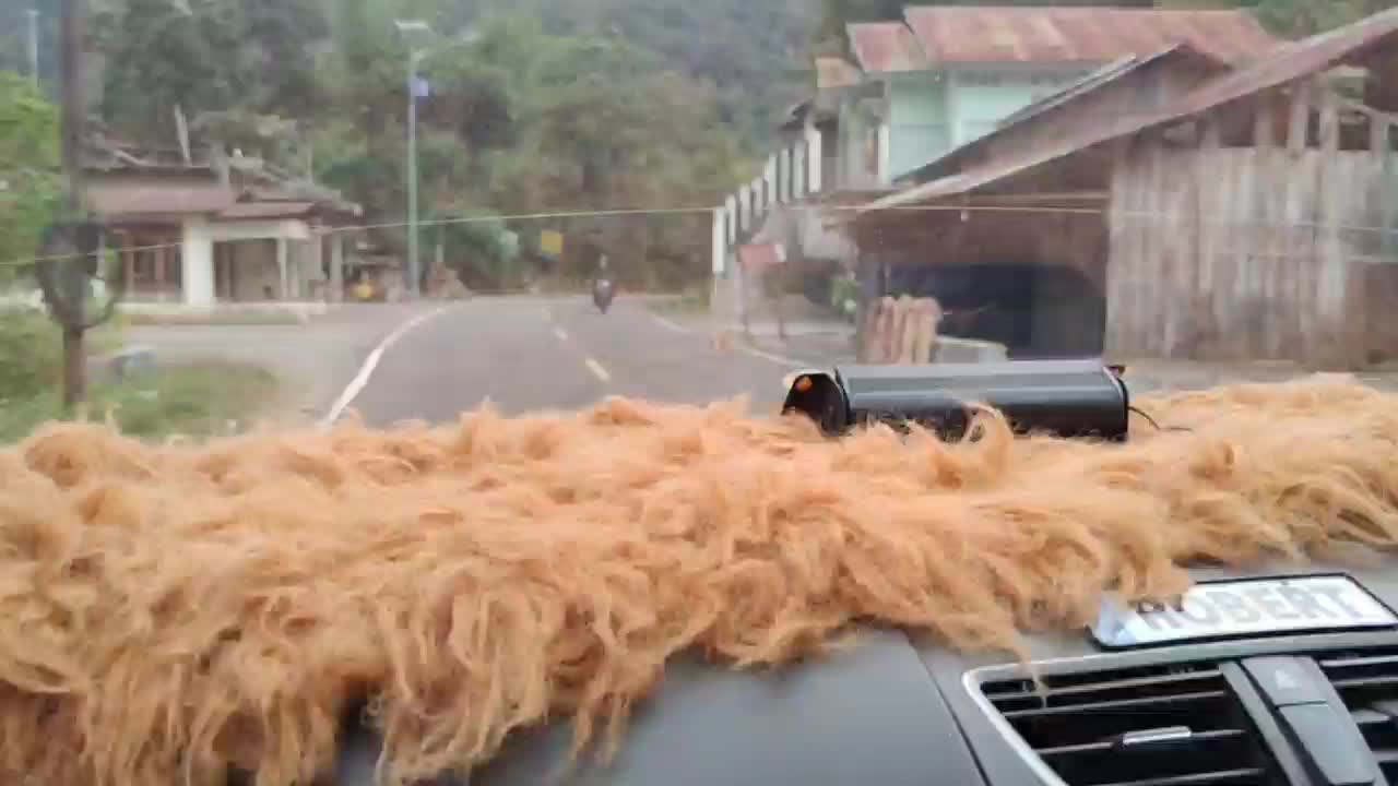Video of the drive and arrival at the "hotel"