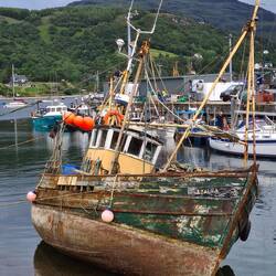 After eating I had an after dinner stroll to see a dilapidated boat