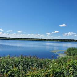 A river near the beach